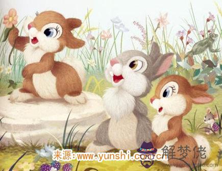 屬兔人本命年結婚好不好 屬兔人本命年結婚好不好