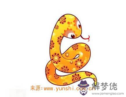 屬蛇人一生有幾次婚姻 屬蛇人一生有幾次婚姻