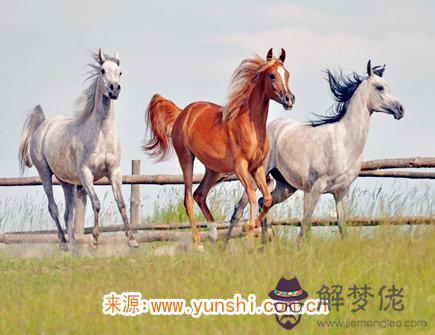 2021年屬馬人佩戴什么好