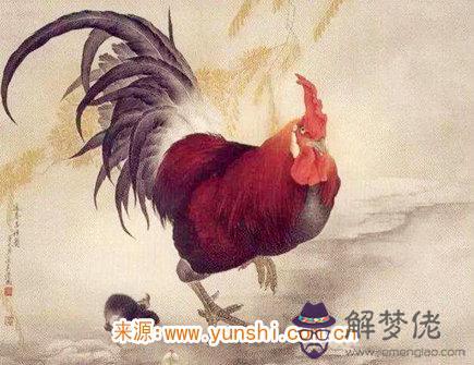 2021年屬雞人佩戴什么好