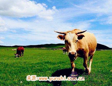 2021年二月出生人的命運 2021年二月出生人的命運