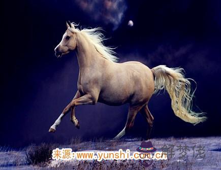 屬馬女不想談戀愛的原因 屬馬女不想談戀愛的原因