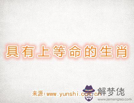 具有上等命的生肖