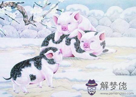 屬豬和什么生肖合財