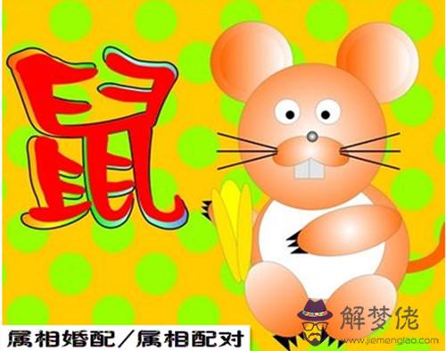 3、屬鼠女易與屬啥男婚配:屬相婚配：男屬兔和女屬鼠相配嗎