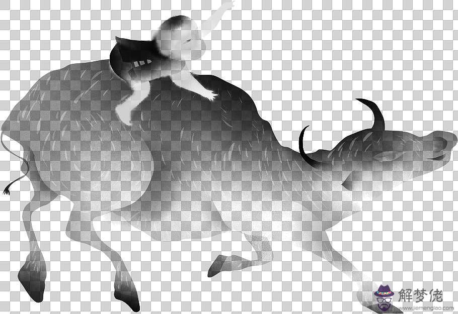 婚姻屬相真的很重要嗎 找對象該不該相信屬相