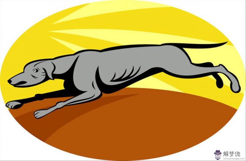 結婚看星座還是看屬相 結婚看屬相符合科學嗎