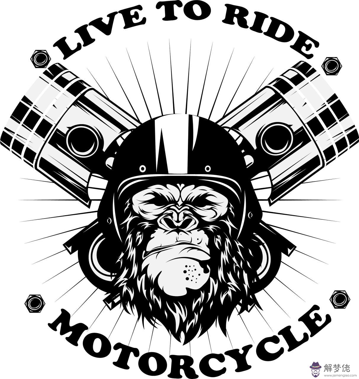 男屬猴女屬馬是上等婚 男猴女馬在一起真惡心