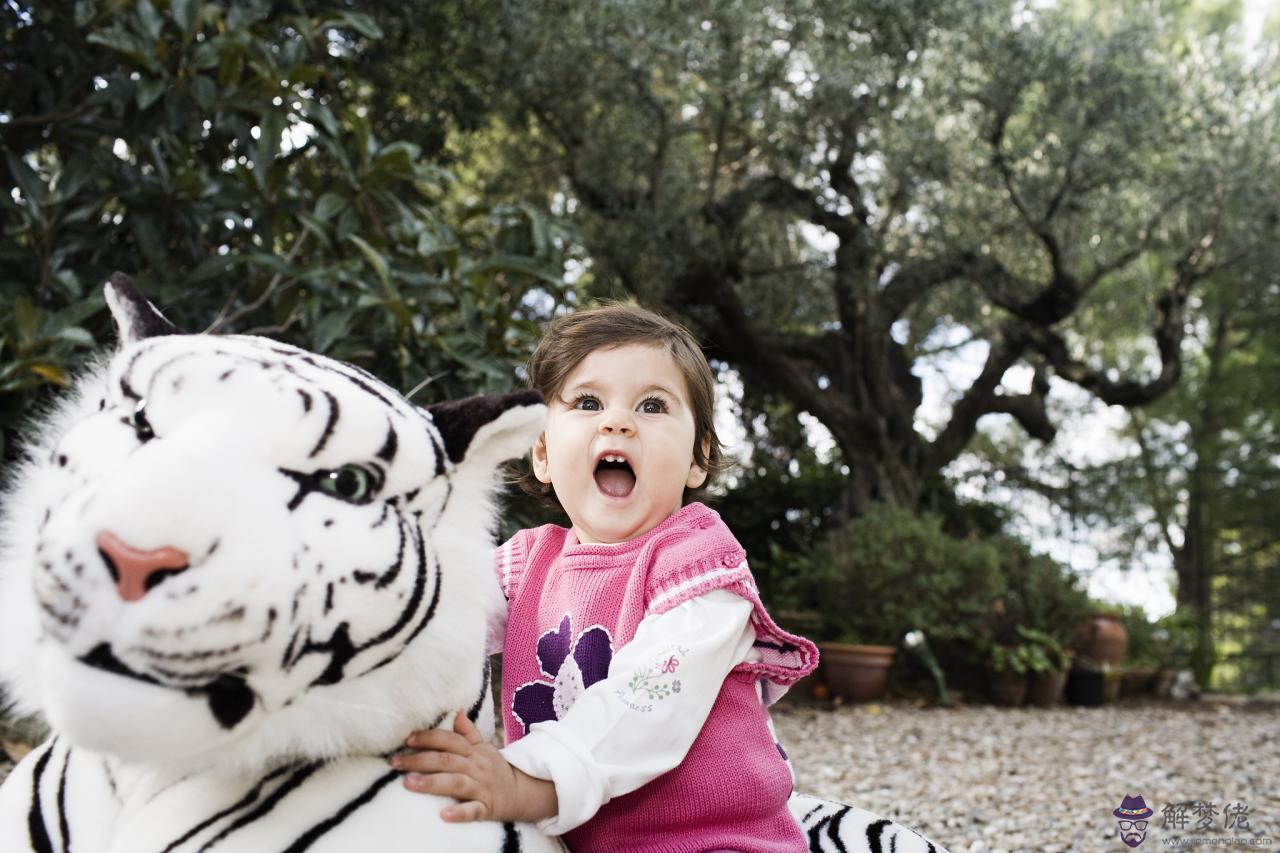 十二屬相相沖相克婚姻配對 十二屬相的婚配太準了