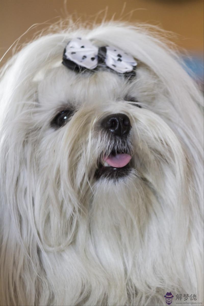 婚姻不長久的生肖配對 適合做大生意生肖女