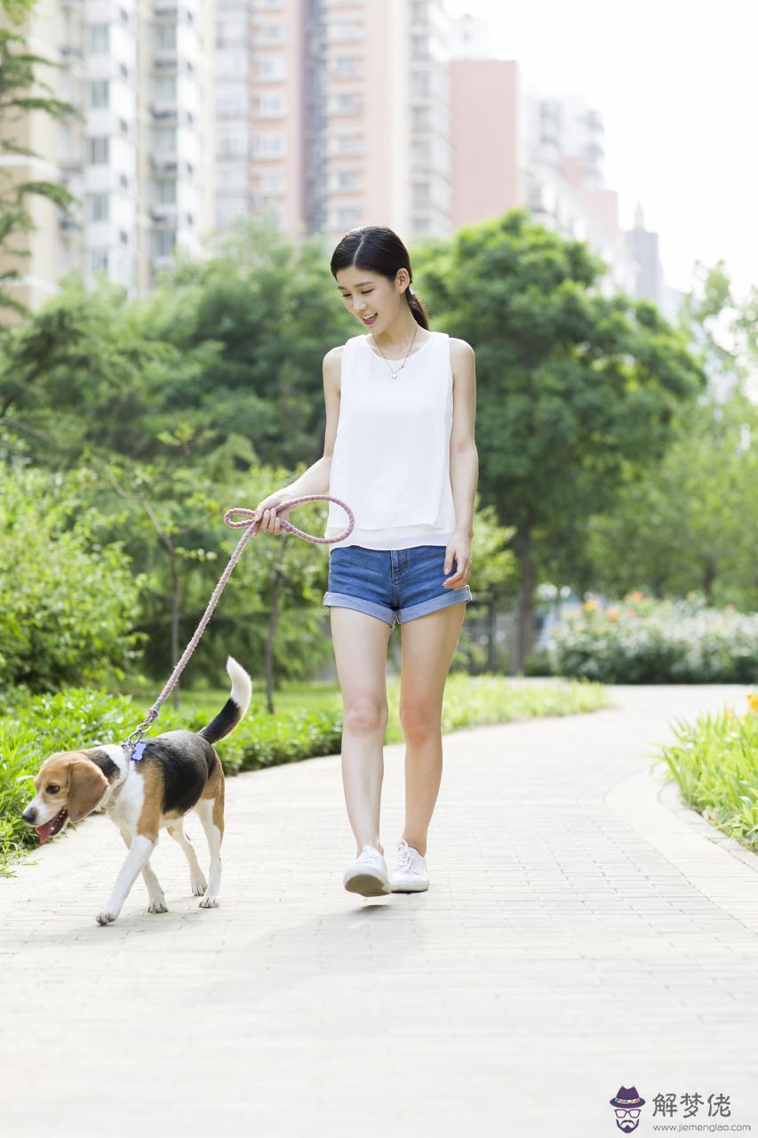 022年財運最旺的生肖排行