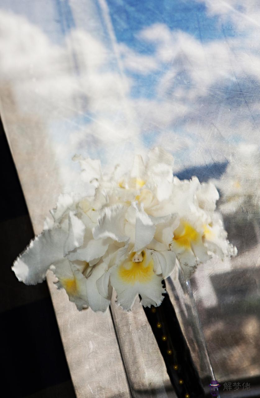 旺夫命的女人生在幾月 上等命的時辰女孩