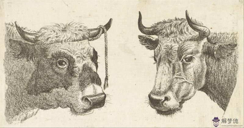 022年屬牛人的全年運勢