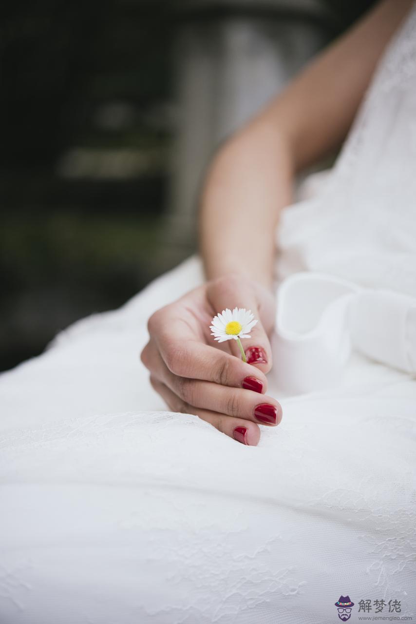 十二生肖屬相配偶搭配 十二生肖相沖表