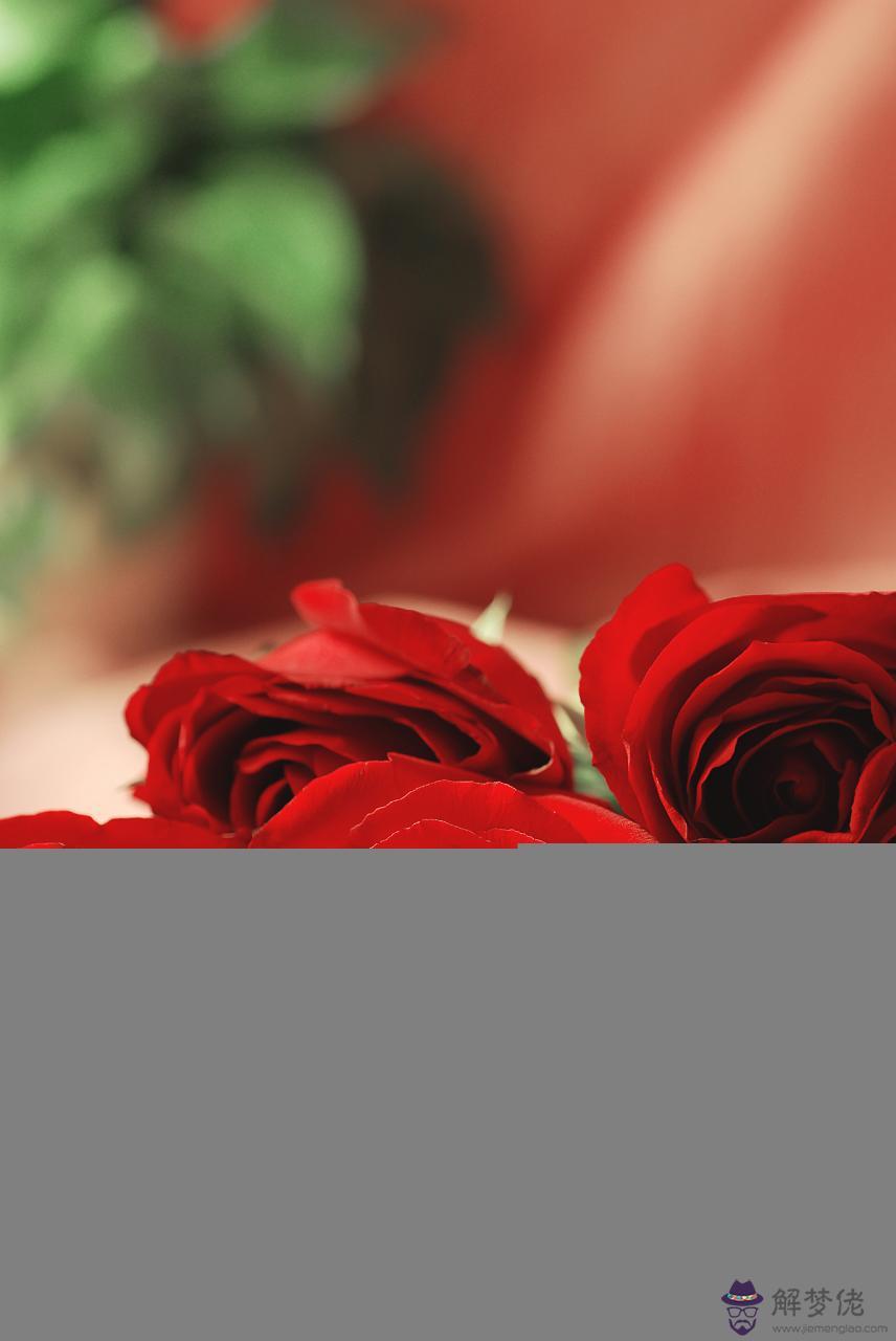 男女屬相婚配表大全圖片 十二生肖男女婚配禁忌