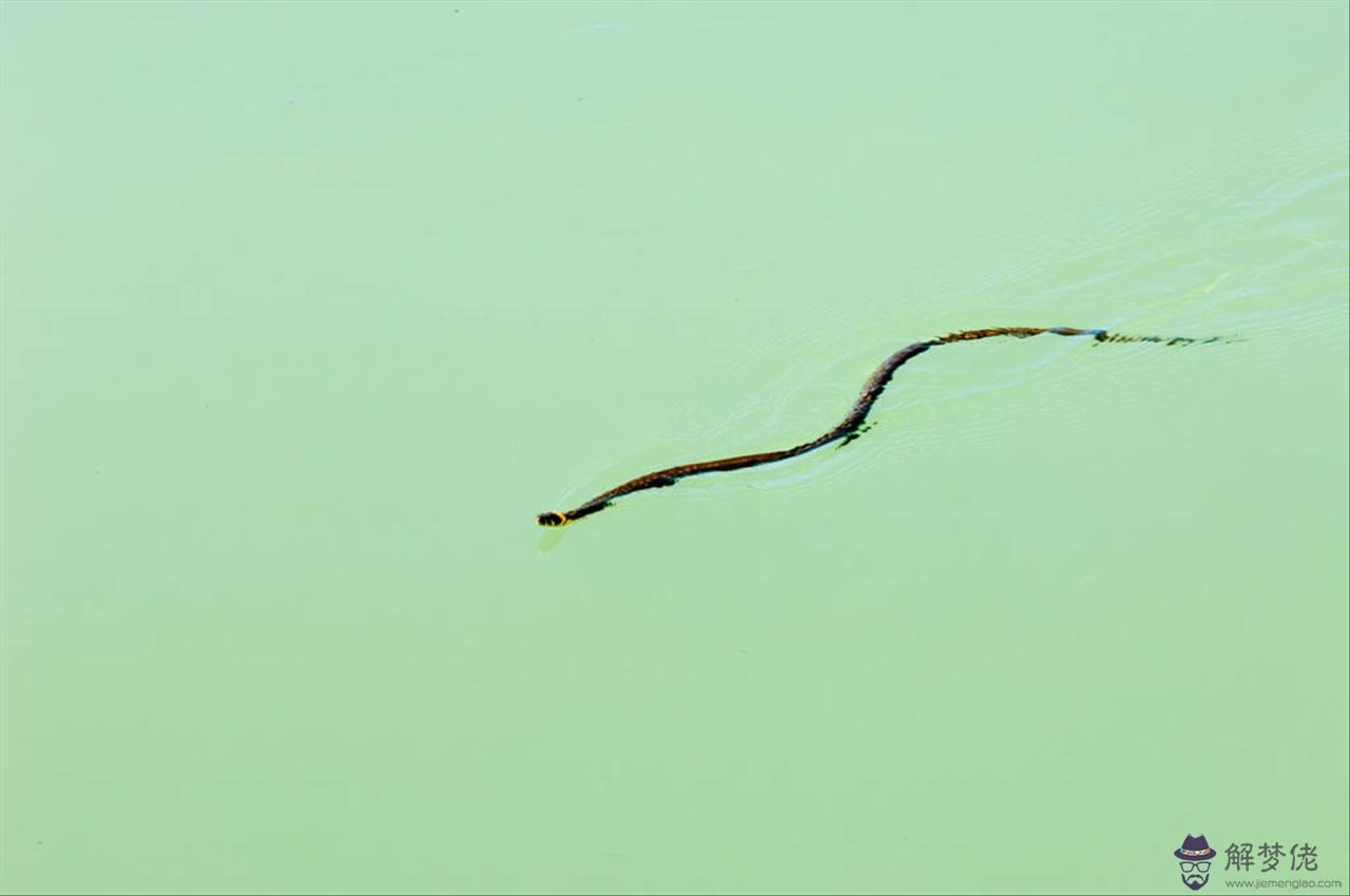 2生肖的婚配禁忌表