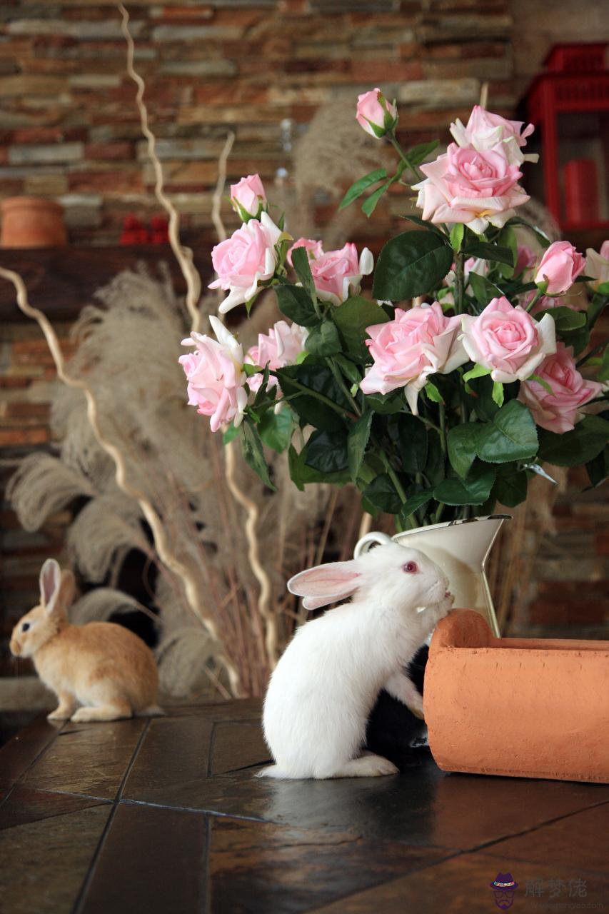 022年婚姻有第三者的生肖女