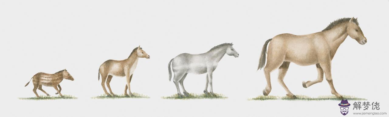 什麼屬相和什麼屬相最合 緣分很深的生肖配對