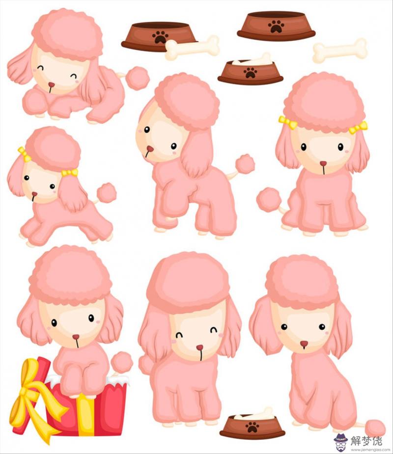 十二生肖配對表年份查詢 男女屬相最佳婚配表年份