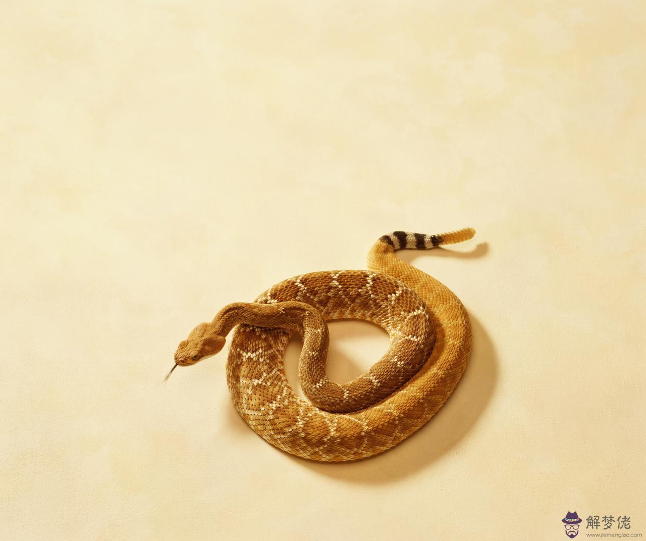 7屬兔一生有幾次婚姻