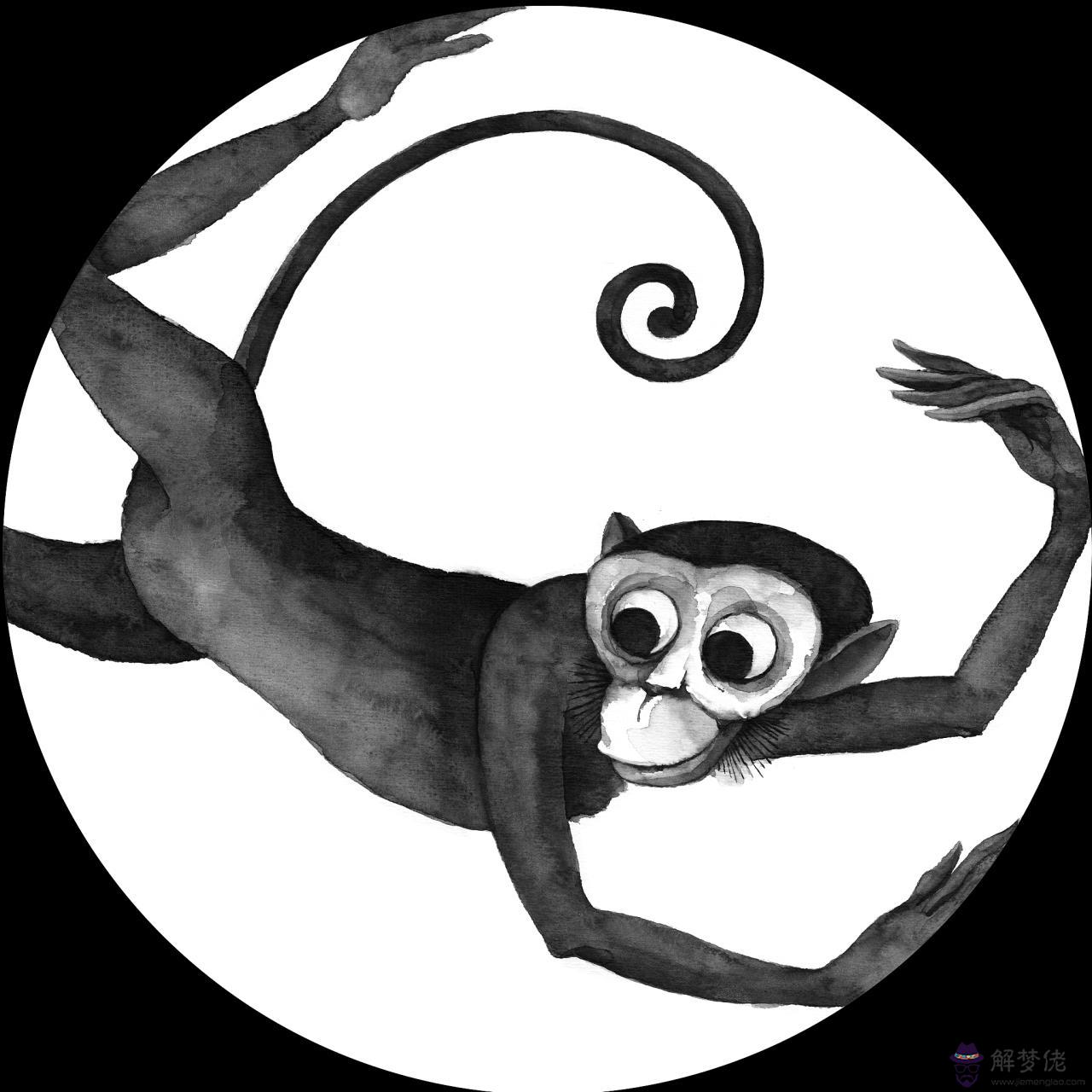 4年屬狗的屬相婚配表