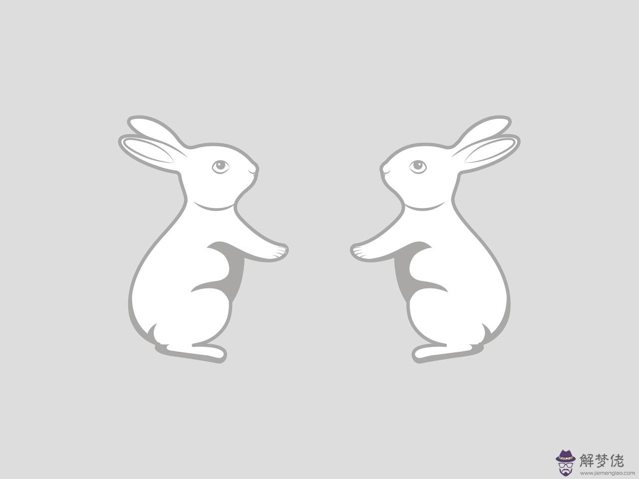 999兔和2000龍好不好