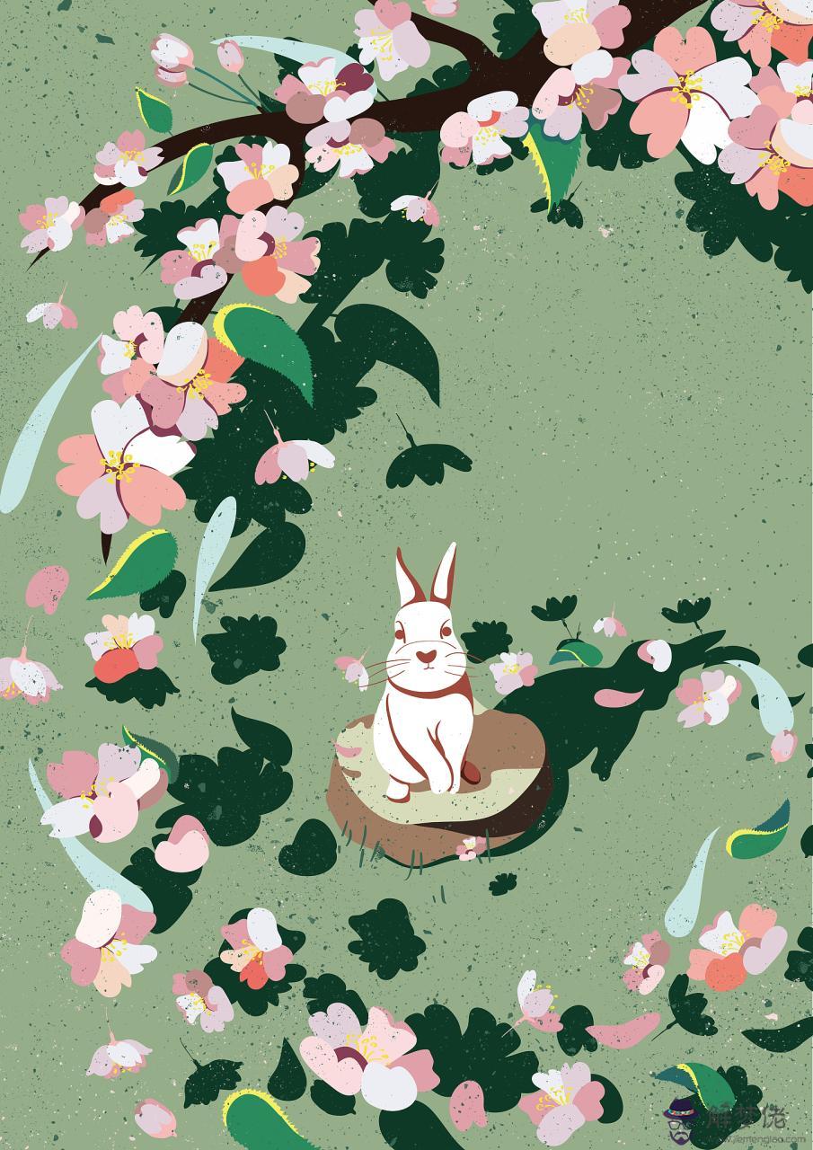 9年的兔和00年的龍配嗎