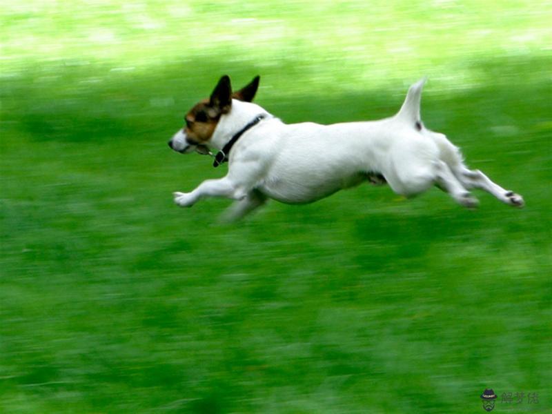 婚配五行相生相克全表 夫妻五行相生相克婚配