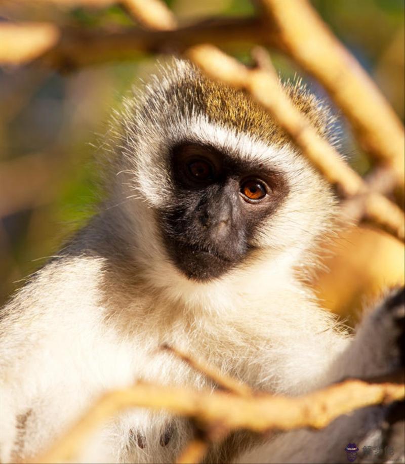 婚姻八字合不合真的有影響嗎 算命八字不合還要結婚嗎