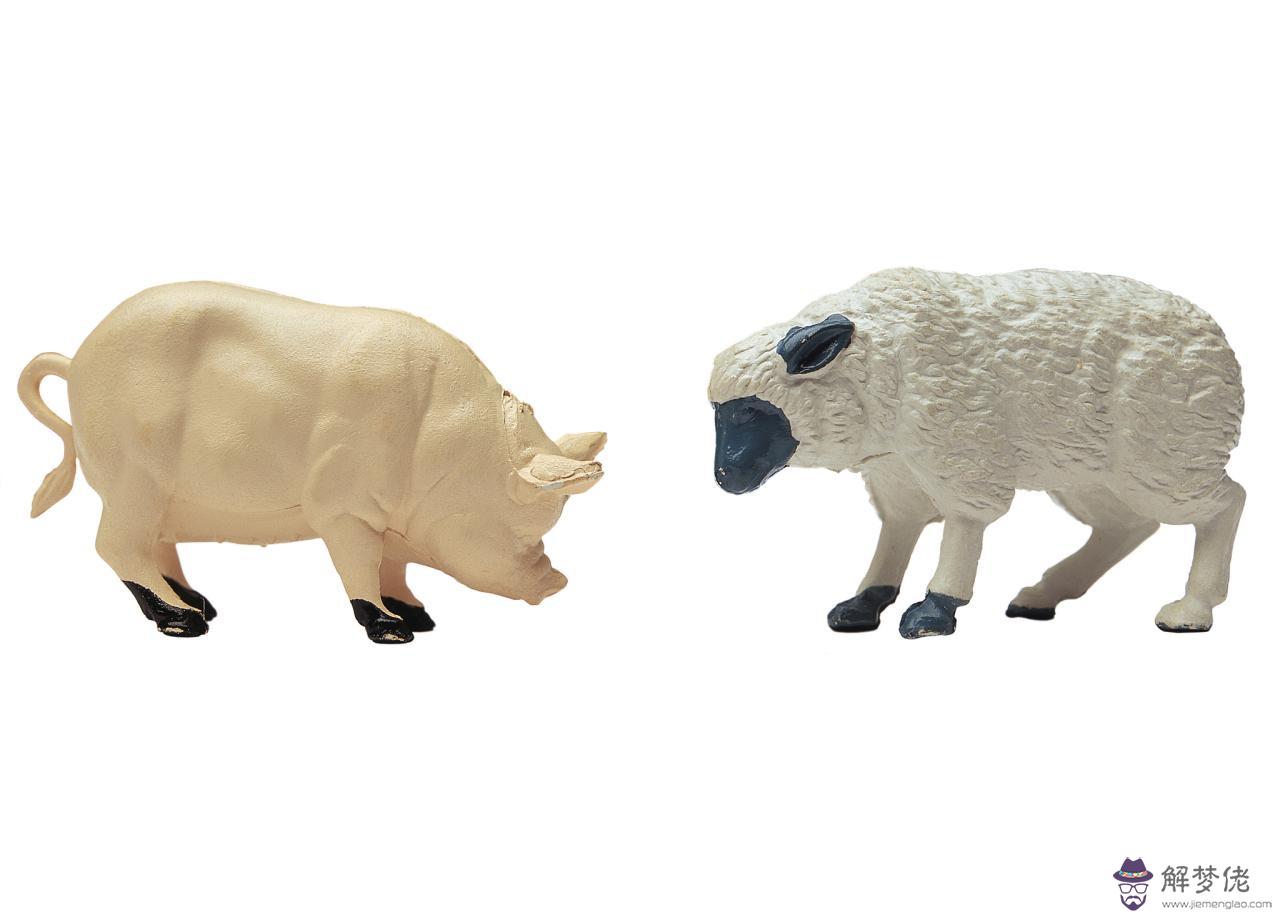 相沖相克的生肖可以結婚嗎 屬相相沖的夫妻能好嗎