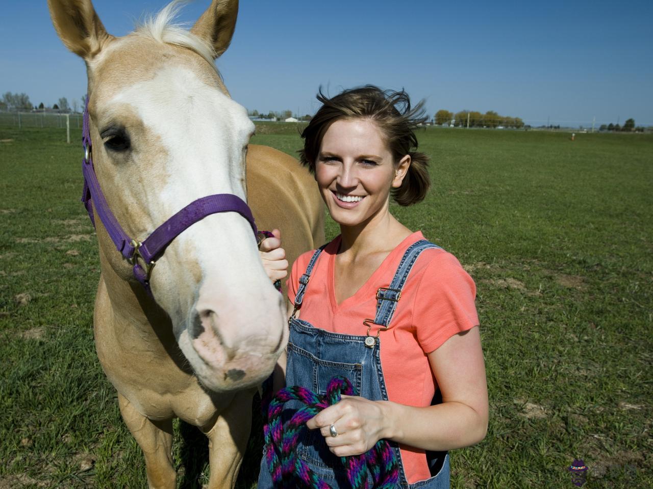 2生肖相合相沖相克表