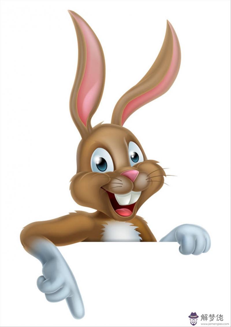 十二生肖婚姻搭配屬相 男女屬相婚配表大全