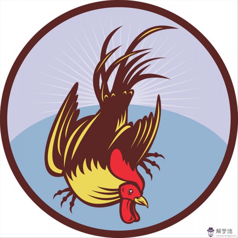 2猴男和95豬女姻緣