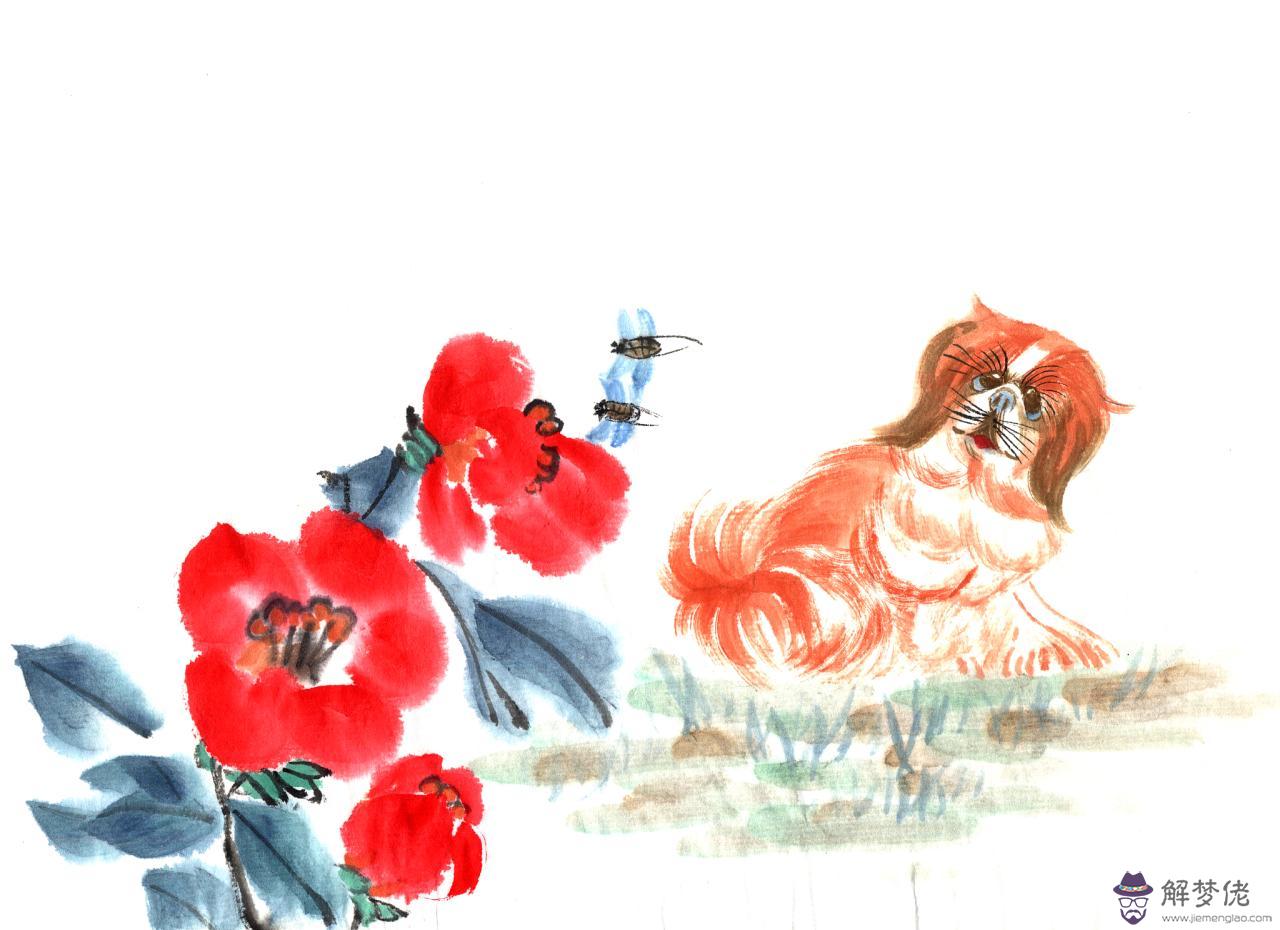 男猴和女豬屬相合不合 男屬猴女屬豬婚姻狀況