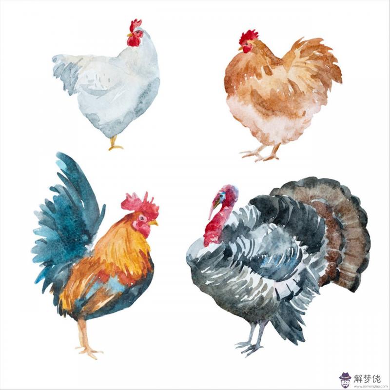 屬蛇的跟屬狗的婚姻配不配 屬蛇男和屬狗女相配嗎