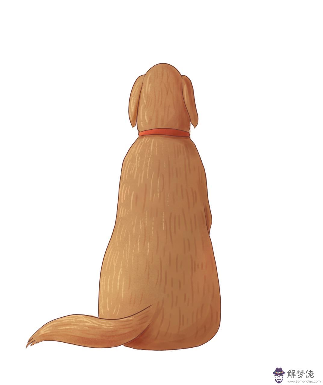 屬蛇的跟屬狗的婚姻配不配 屬蛇男和屬狗女相配嗎