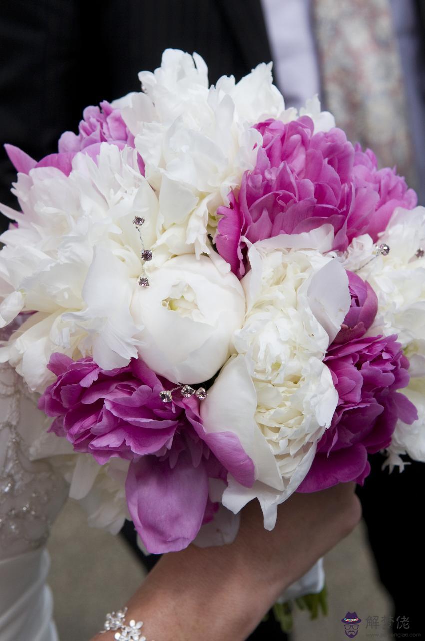 算命軟件哪個最準最全免費 測姻緣最準的免費