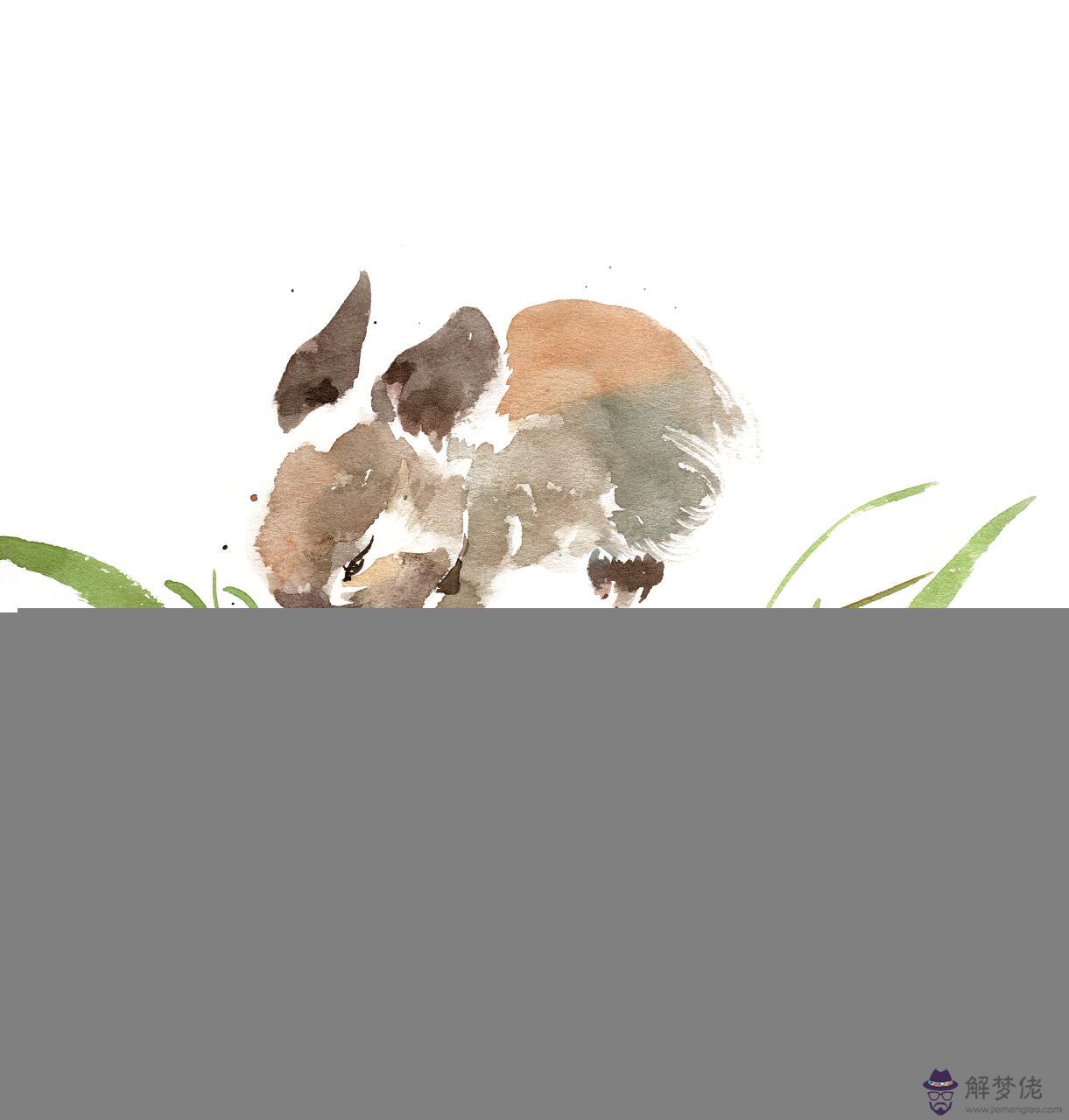 屬虎最好婚配是什麼生肖 屬虎男的最佳配偶屬相