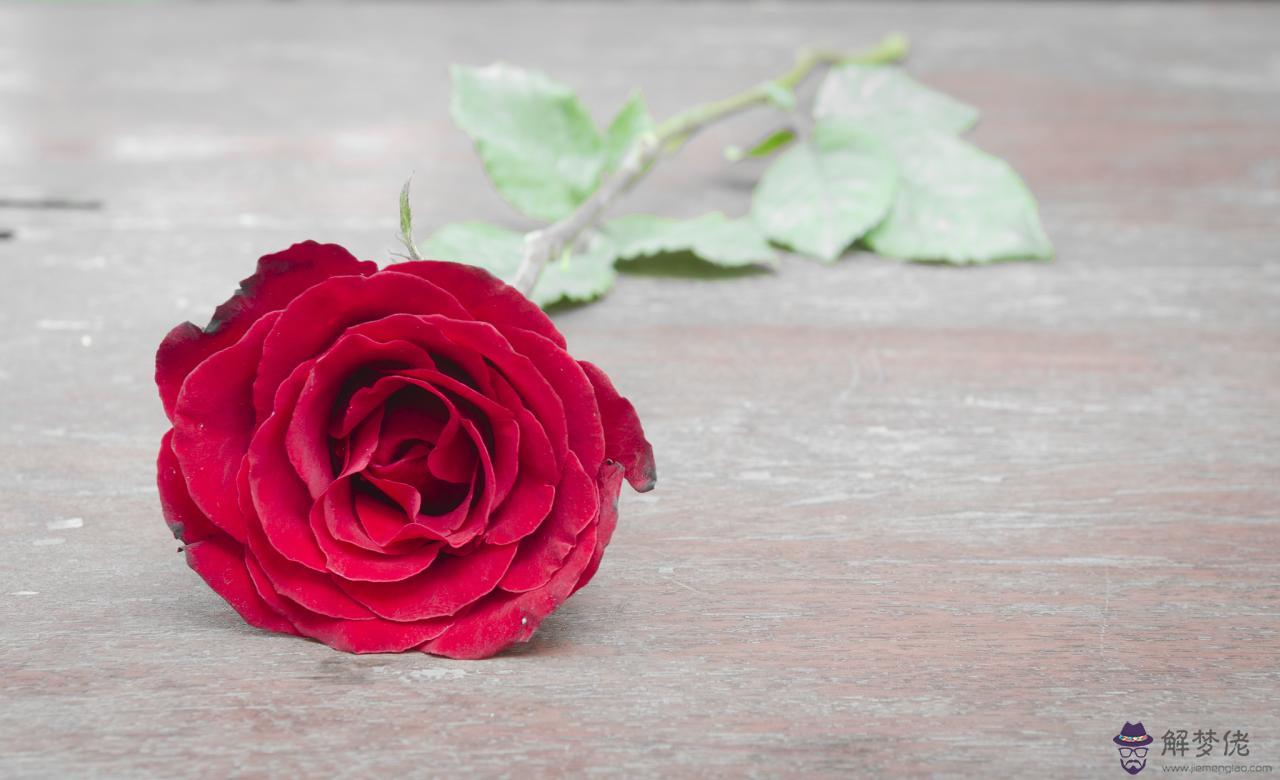 夫妻早就命中注定就信不信由你 每個人配偶都是注定的