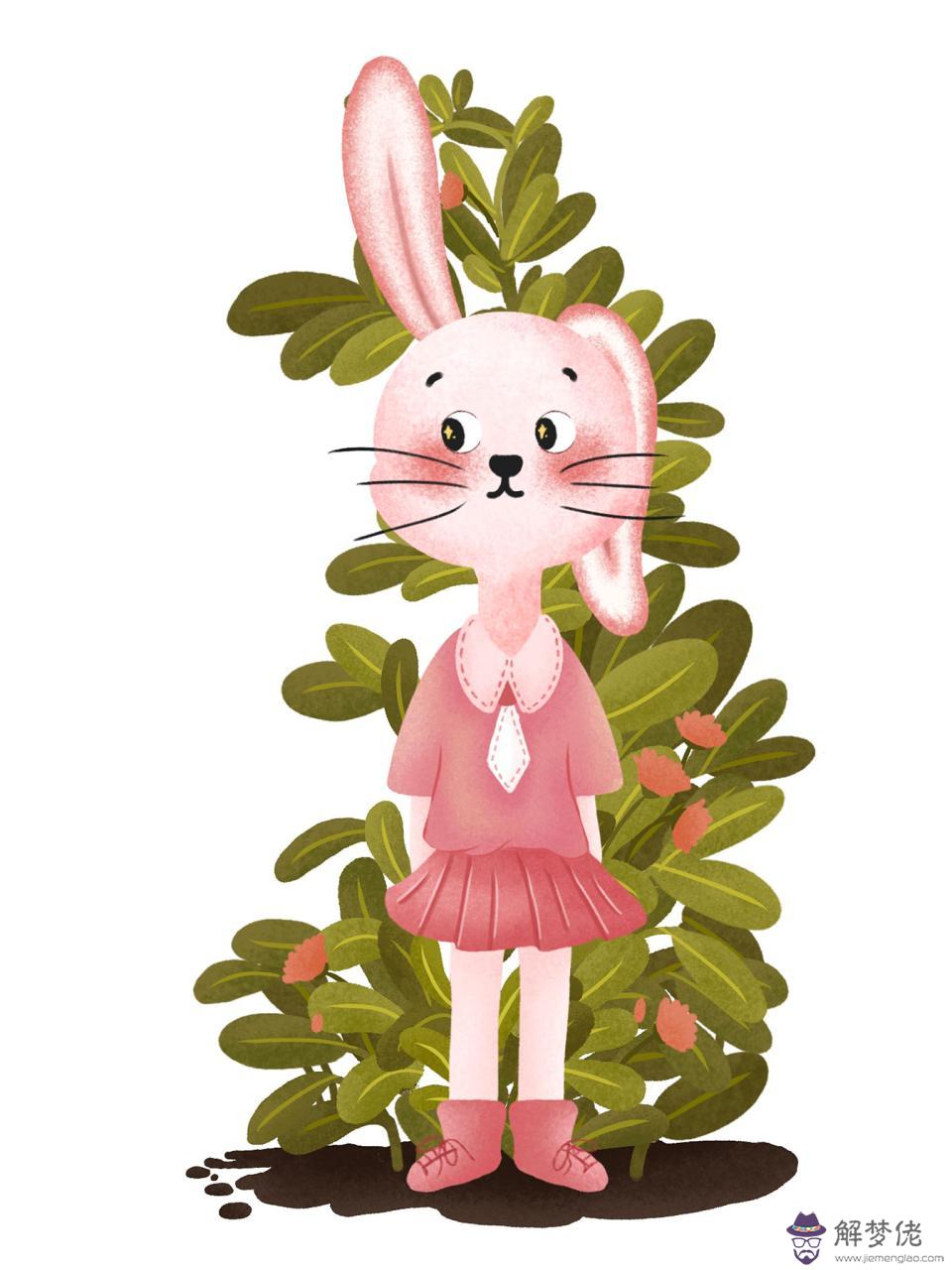 男狗和女虎婚姻旺不旺 屬虎男和屬狗女合財嗎