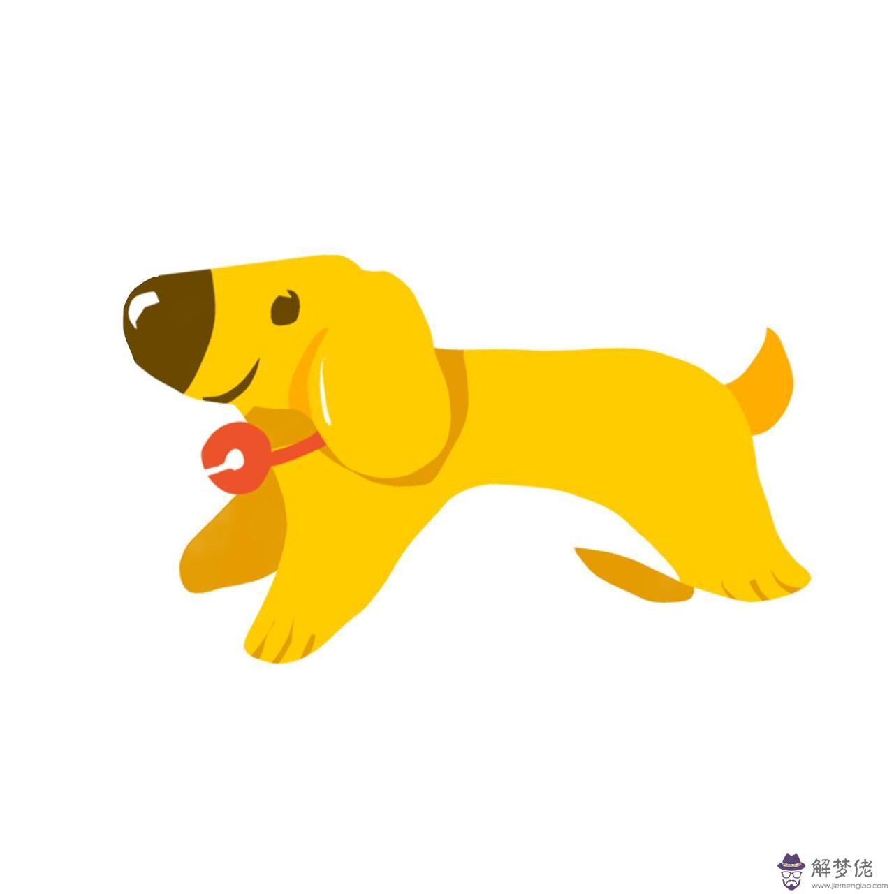 屬虎和屬狗的夫妻結局 屬狗跟屬虎的婚姻配嗎