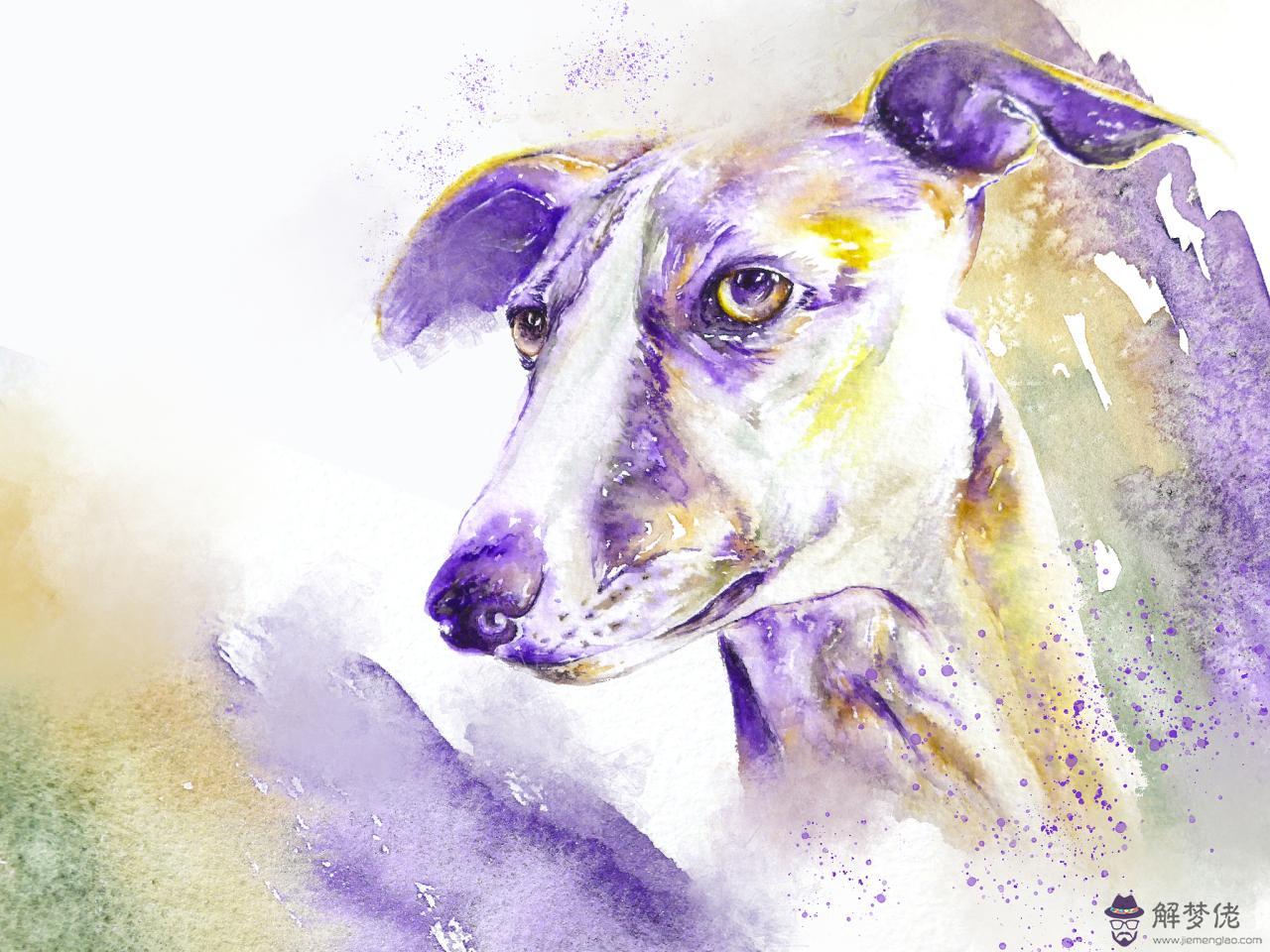 屬豬的和什麼屬相最配 屬豬的婚配屬相最好