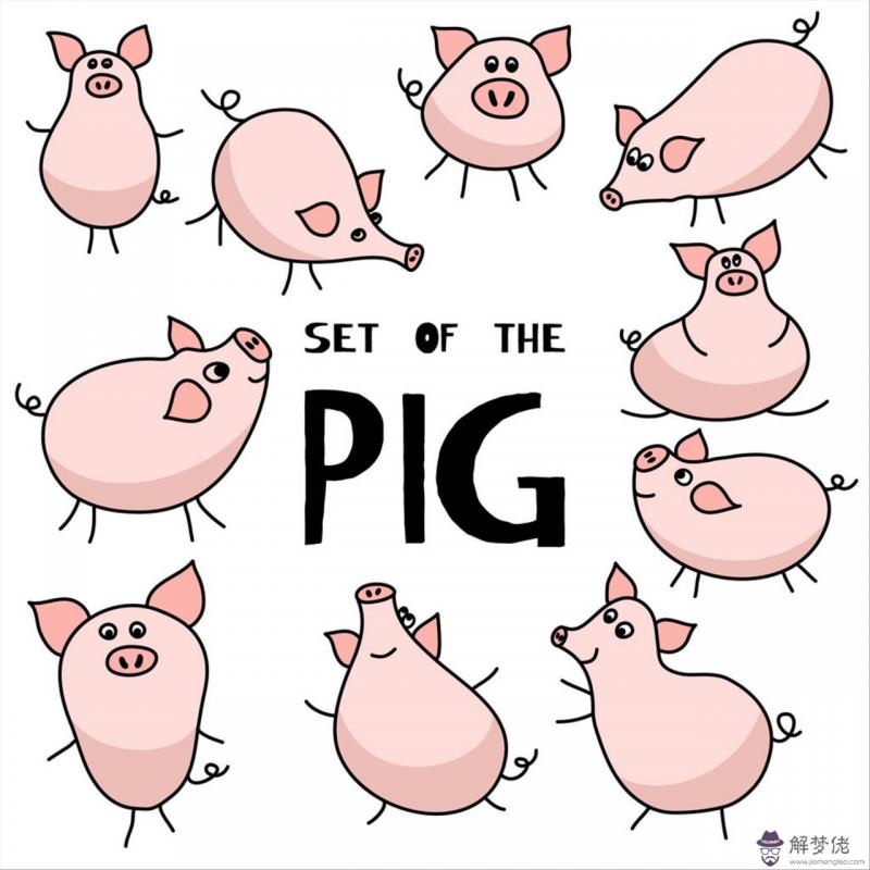 屬豬的和什麼屬相最配 屬豬的婚配屬相最好