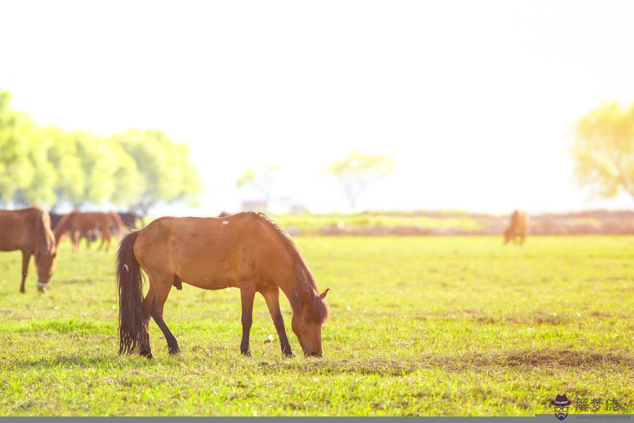 屬相相沖真那麼可怕嗎 夫妻在一起相克的征兆