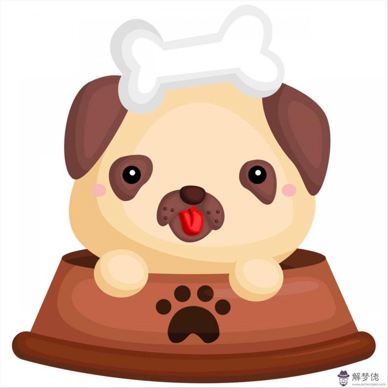 今年屬豬的姻緣怎麼樣 屬豬的人最好的八字