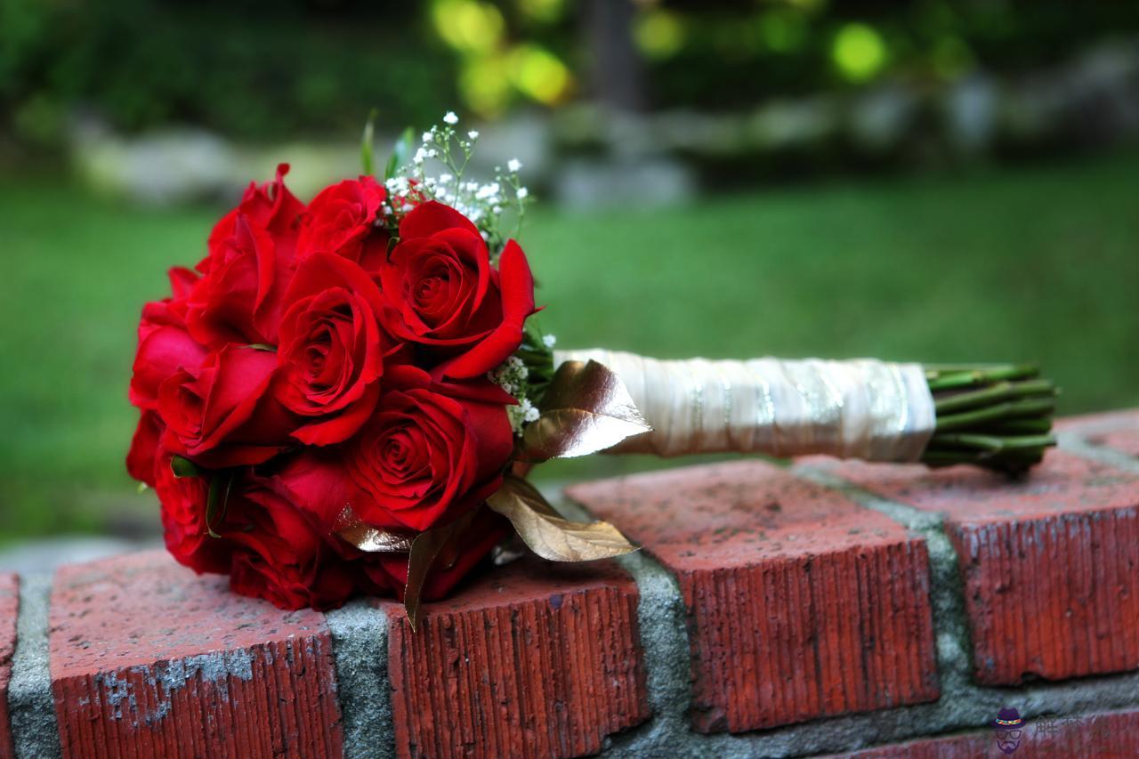 黃磊和孫莉是什麼屬相 女屬豬和什麼屬相最配