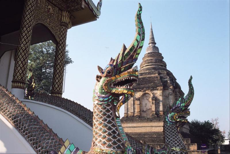 男兔女龍婚姻怎麼化解 男龍和女馬相配婚姻如何