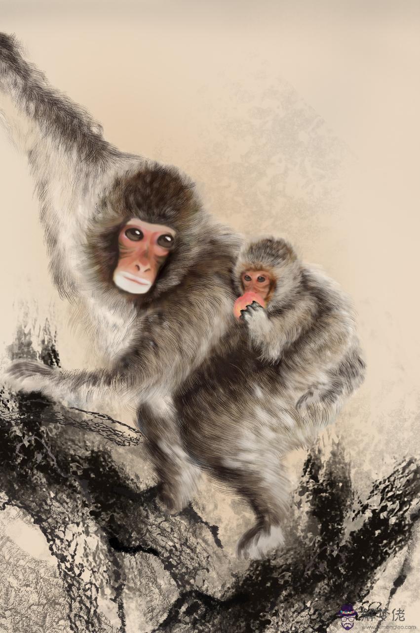 022年屬猴終于轉運了 2022年時候生肖猴運勢變好"