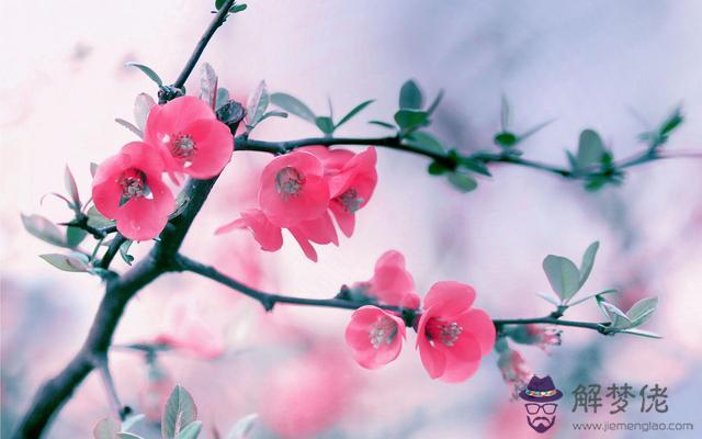 射手座愛得最深的兩個星座，不會拋棄射手女的星座男