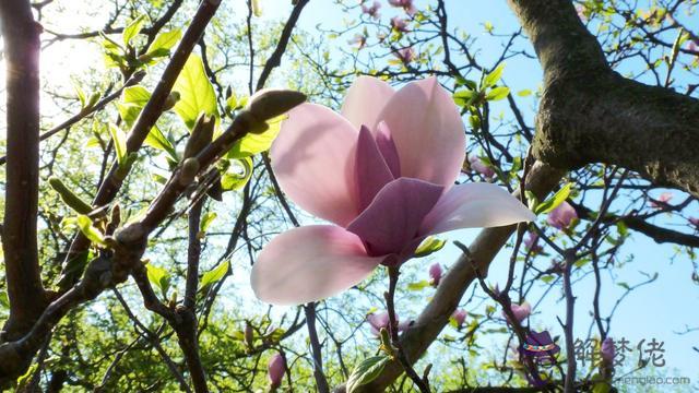 射手座愛得最深的兩個星座，不會拋棄射手女的星座男